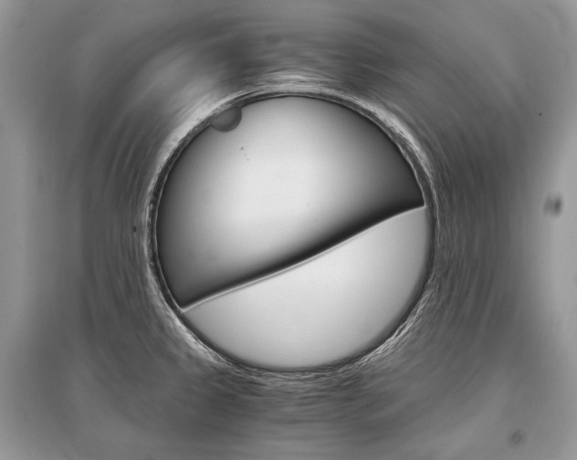 X0000096381333200801240954