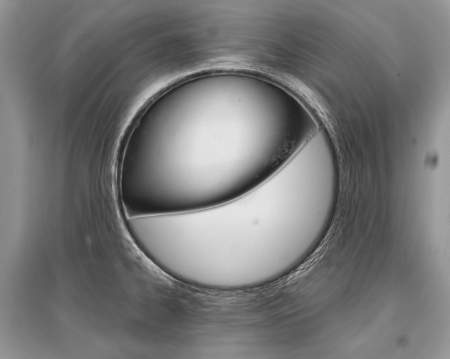 X0000096381334200801240954