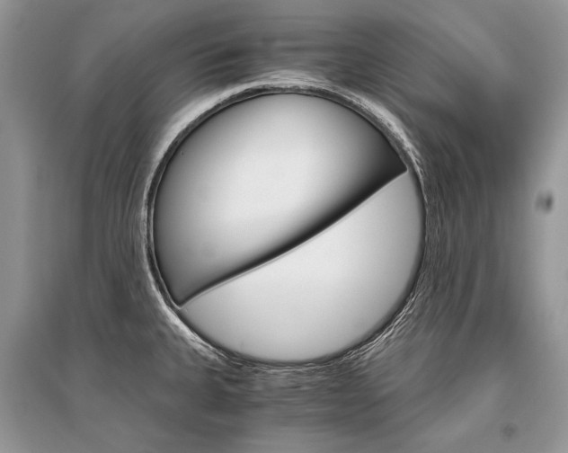 X0000096381335200801240954