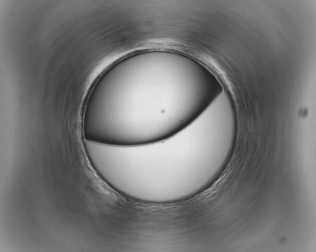 X0000096381336200801240954