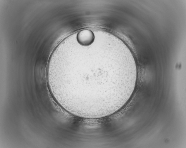 X0000096381338200801240954
