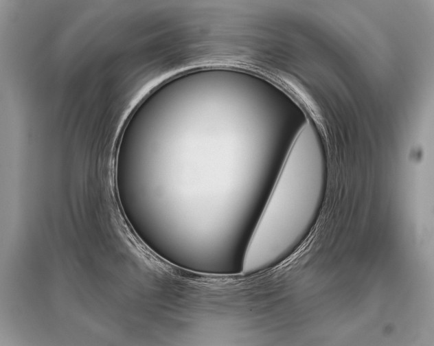 X0000096381340200801240954