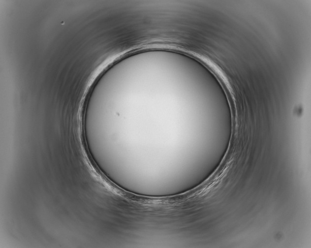 X0000096381341200801240954