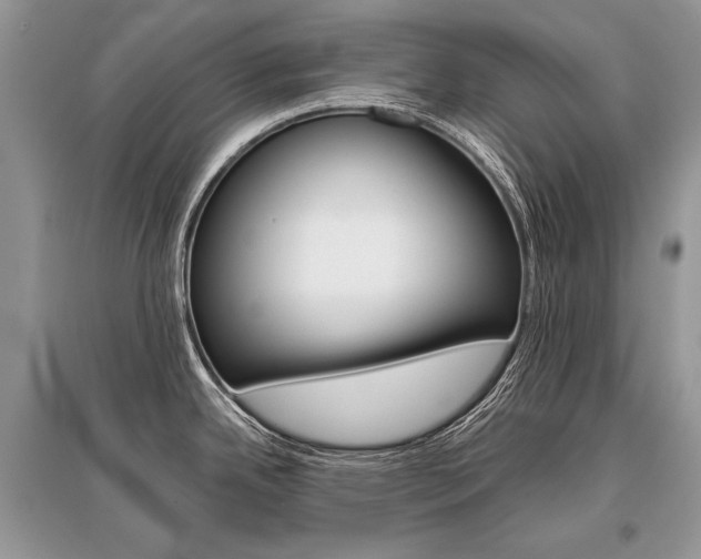 X0000096381342200801240954