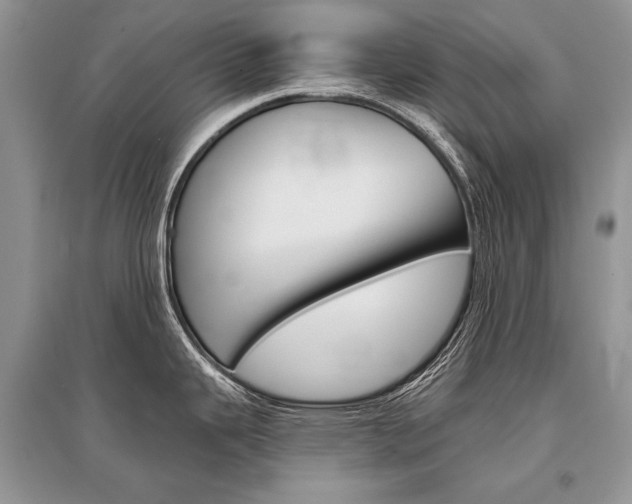 X0000096381343200801240954