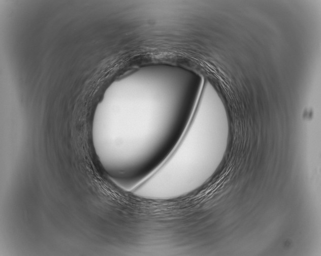 X0000096381345200801240953
