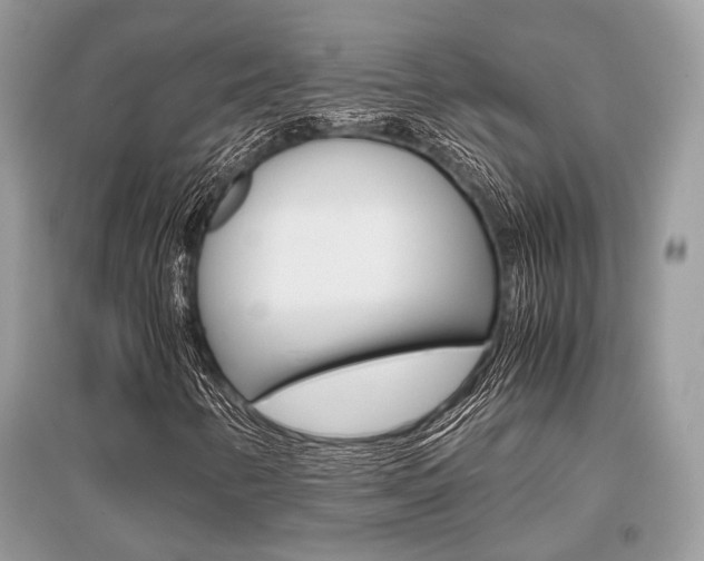 X0000096381346200801240953