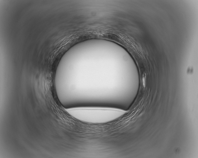 X0000096381347200801240953