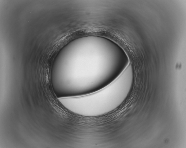 X0000096381348200801240953