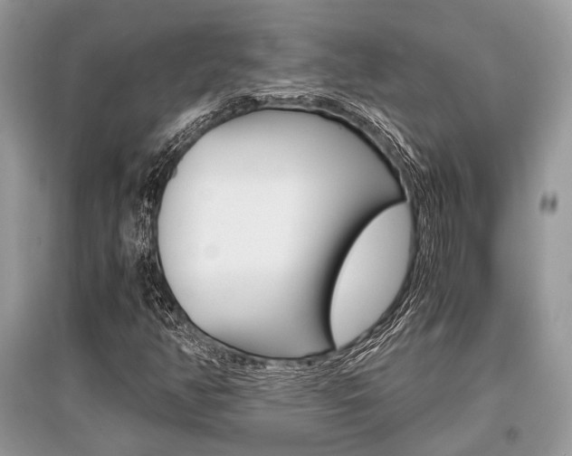 X0000096381350200801240953