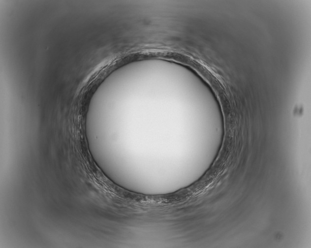 X0000096381351200801240953