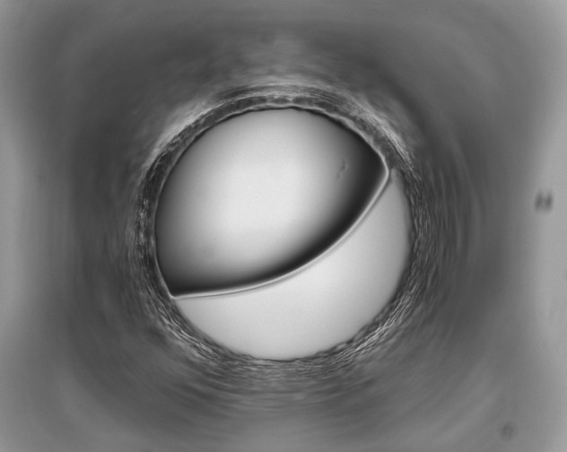 X0000096381352200801240953