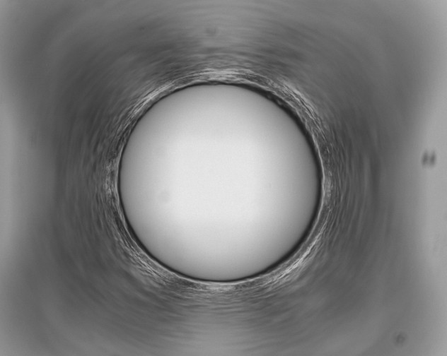 X0000096381353200801240953
