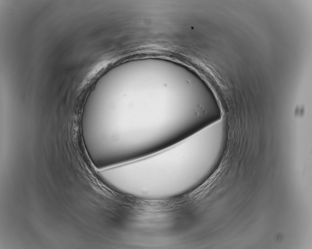 X0000096381355200801240953