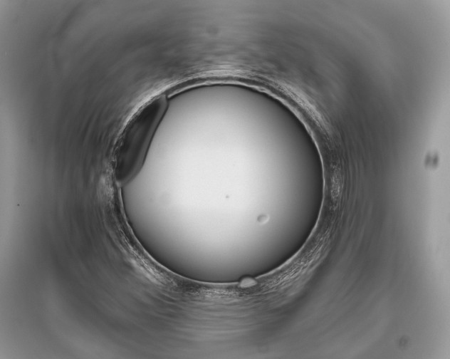 X0000096381356200801240953