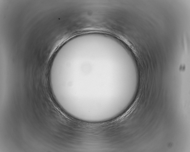 X0000096381357200801240953