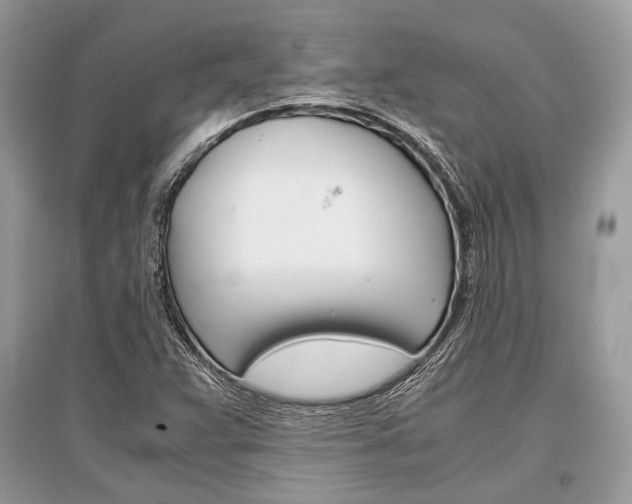 X0000096381359200801240953