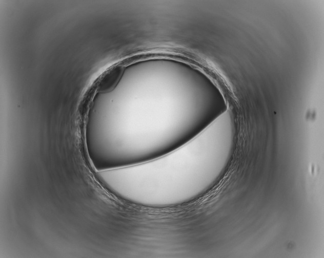 X0000096381360200801240953