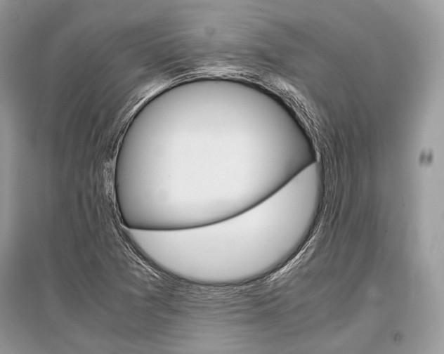 X0000096381361200801240953