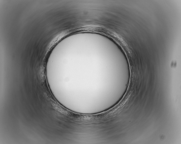 X0000096381362200801240953
