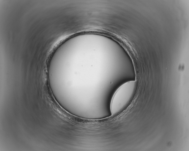 X0000096381363200801240953