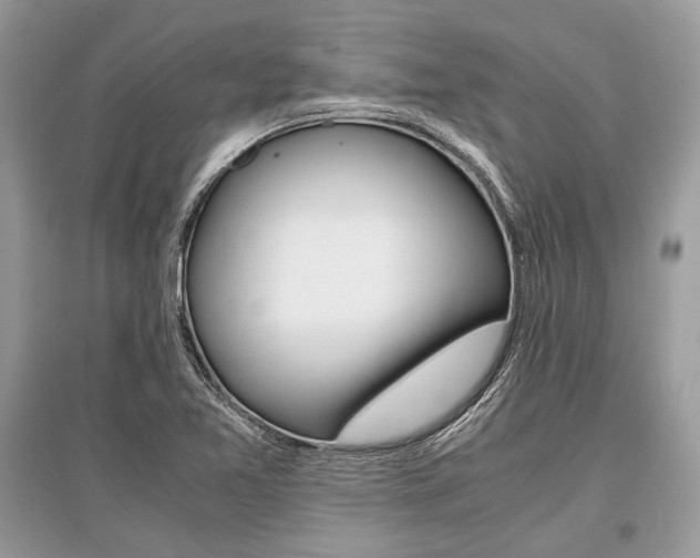X0000096381365200801240953