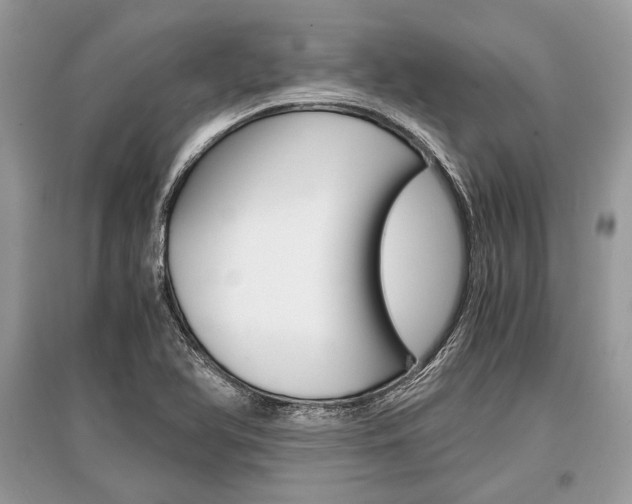 X0000096381366200801240953