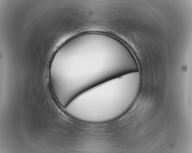 X0000096381367200801240953