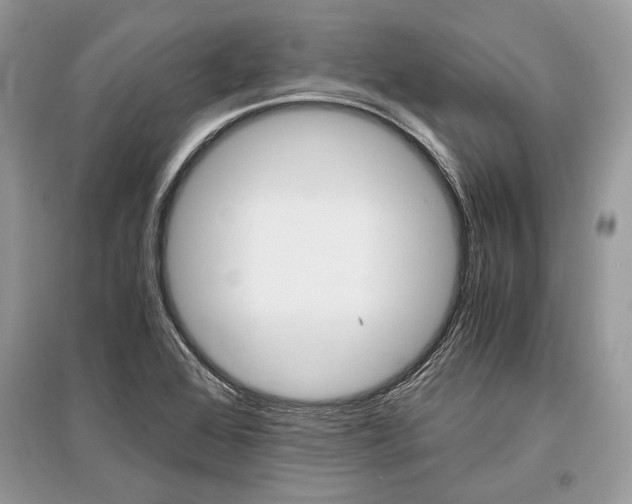 X0000096381368200801240953