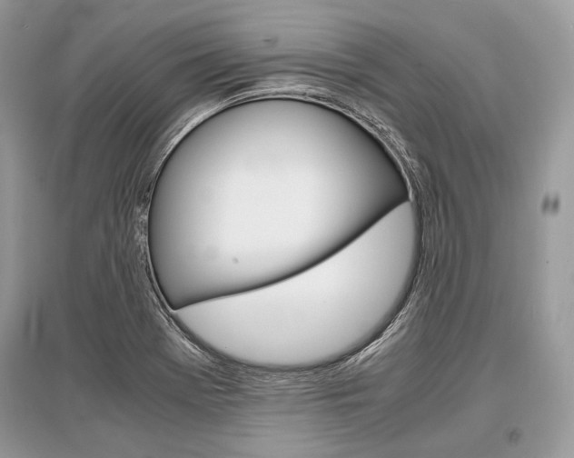X0000096381369200801240953