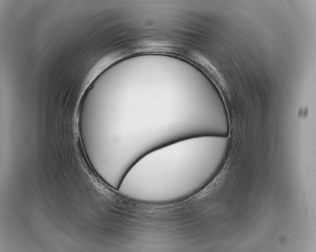 X0000096381370200801240953