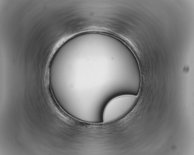 X0000096381371200801240953