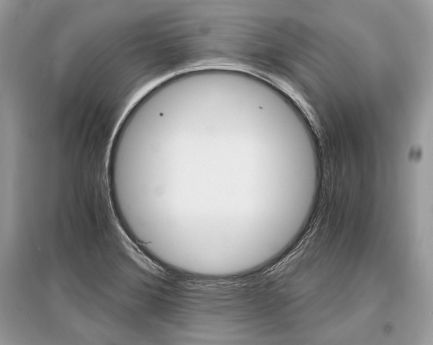 X0000096381372200801240953