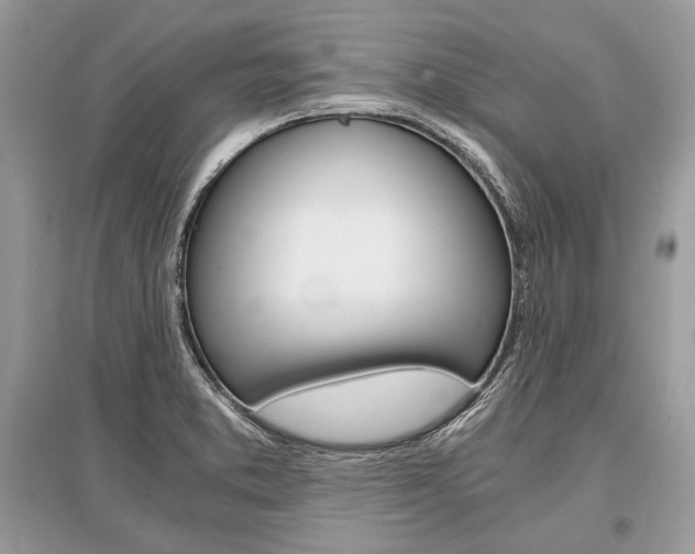 X0000096381373200801240953