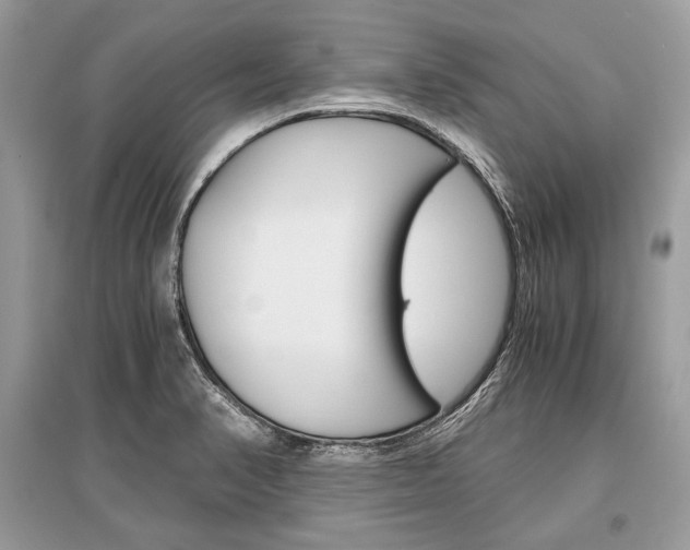X0000096381374200801240953