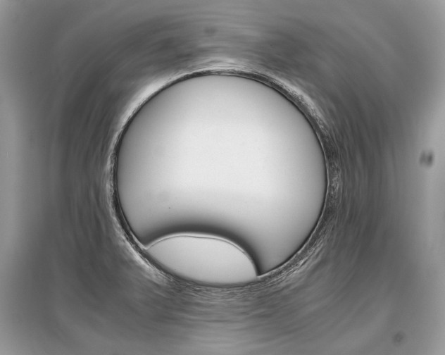 X0000096381375200801240953