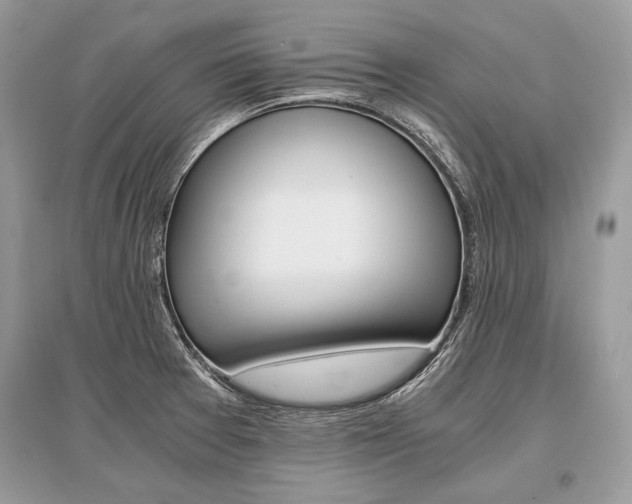X0000096381377200801240953