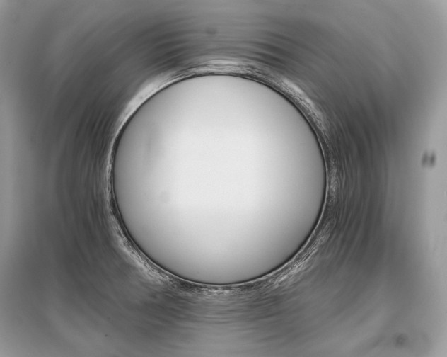 X0000096381378200801240953