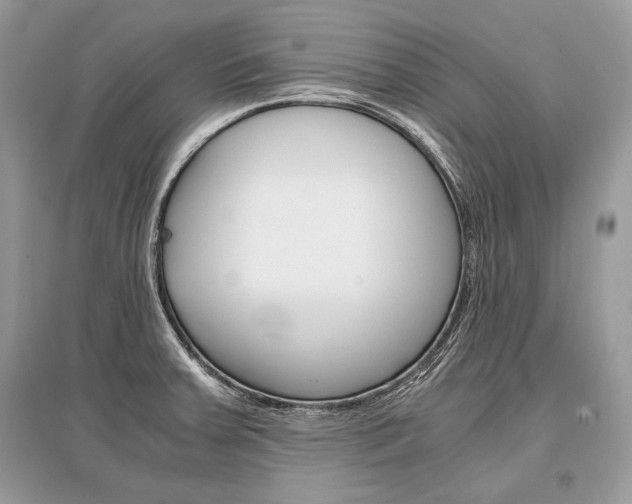 X0000096381379200801240953