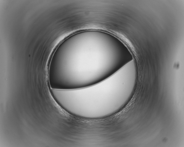 X0000096381380200801240953