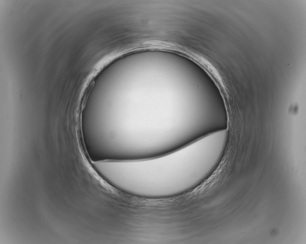 X0000096381381200801240953
