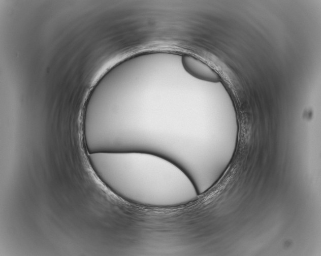 X0000096381382200801240953