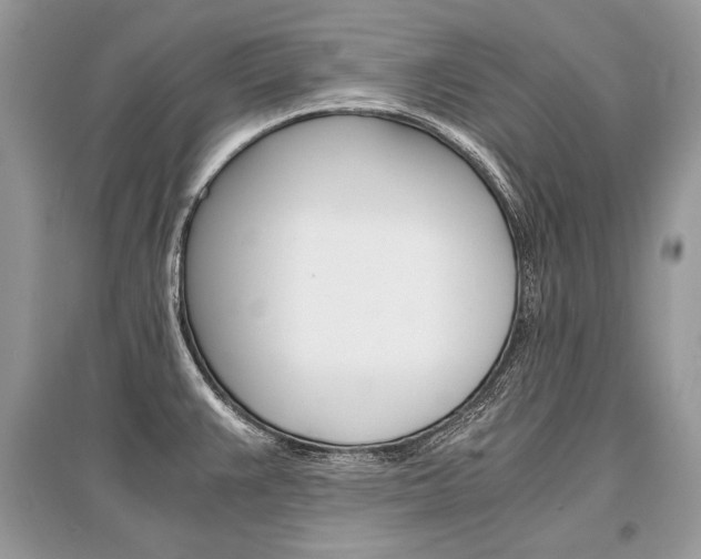 X0000096381383200801240953