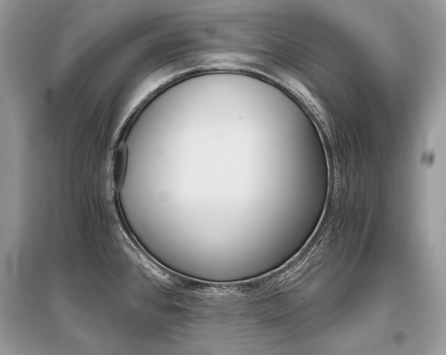 X0000096381384200801240953
