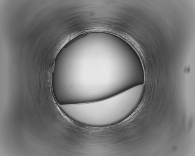 X0000096381385200801240953