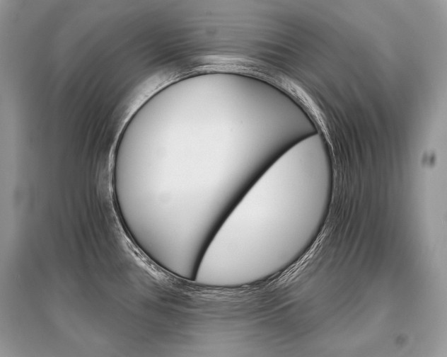 X0000096381386200801240953