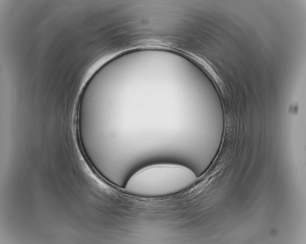 X0000096381387200801240953