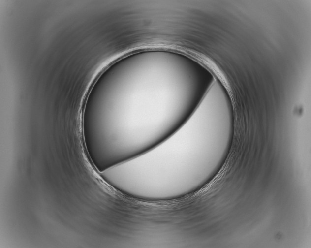 X0000096381388200801240953