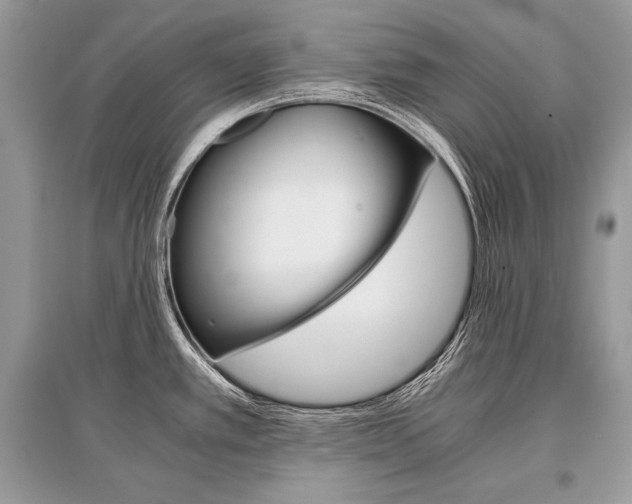 X0000096381389200801240952