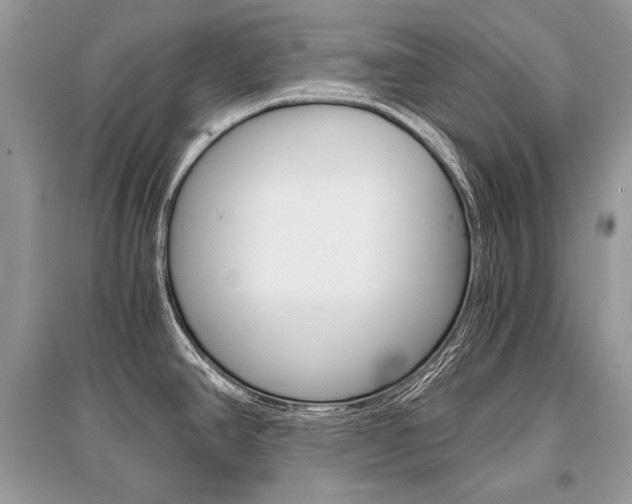 X0000096381390200801240952
